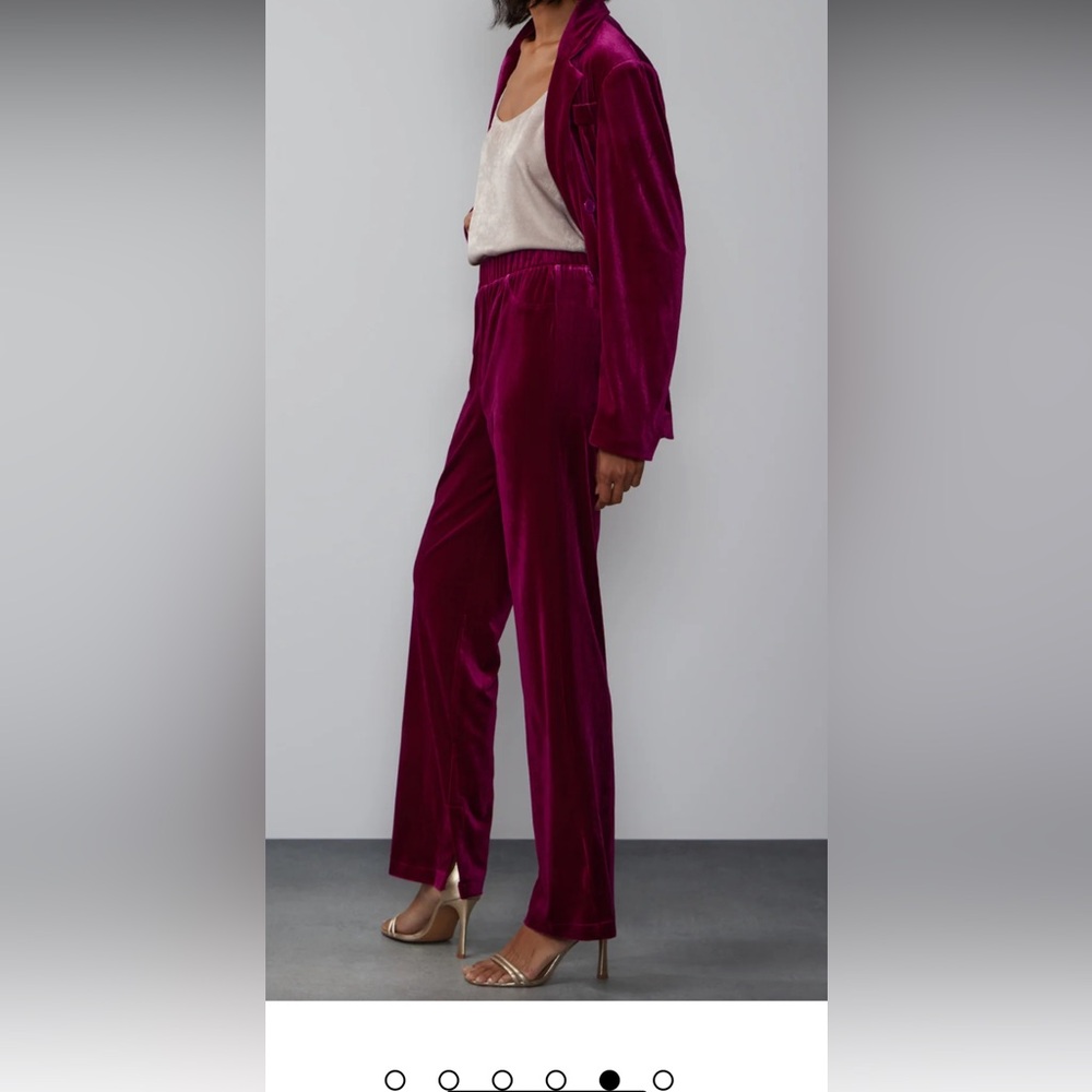 New York and Co pants